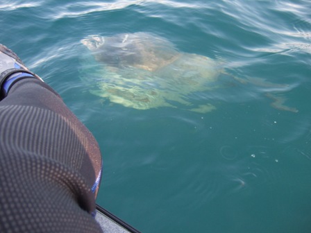 �}���{�E����