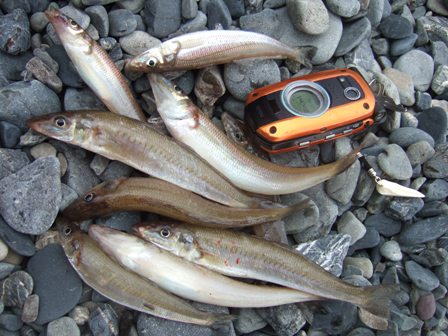 �L�[�v�̈ꕔ