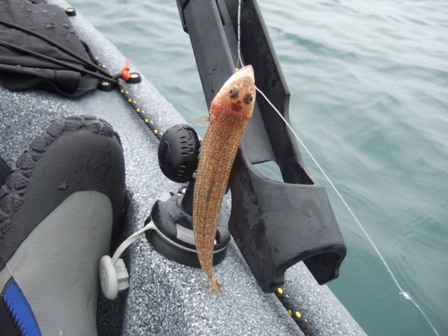 �G�\�̒���