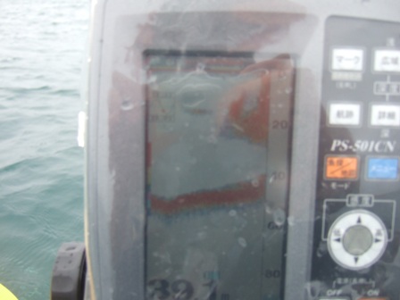 ���T�ɔ����L��