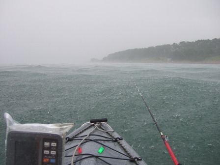 ���O�̓P��