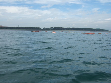 �������a���Ȃ��E�E