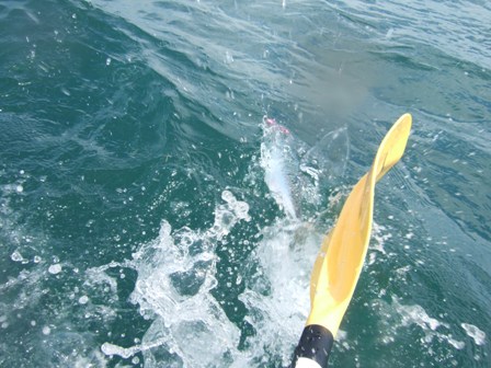 �������I