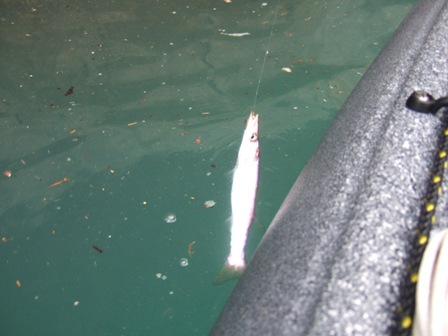 ���[�ȃL�[�v