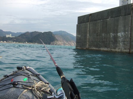 �O���͓���