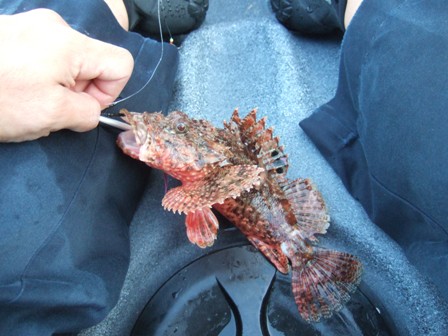 �I�j�J�T�S