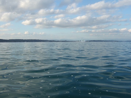 �C��ۈ���