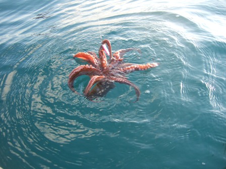 �B�e�Ȃ񂩂��Ă邩��E�E�H