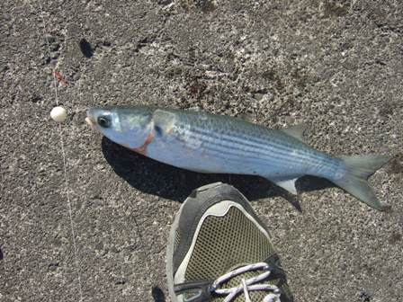 ���N�͊O���X�^�[�g