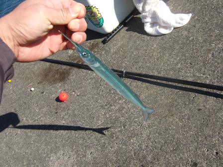 ���U���T�����f�d�s