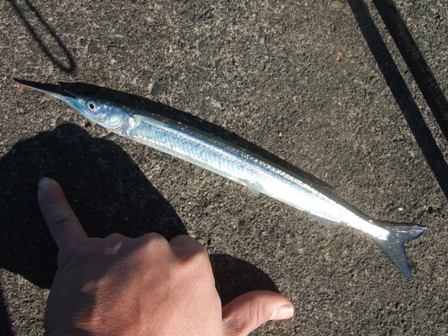 ���߂Ď�ɂ�������