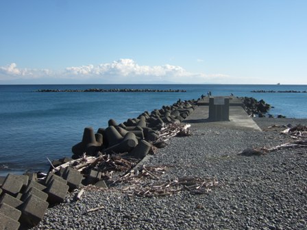 ���ނ�̕���