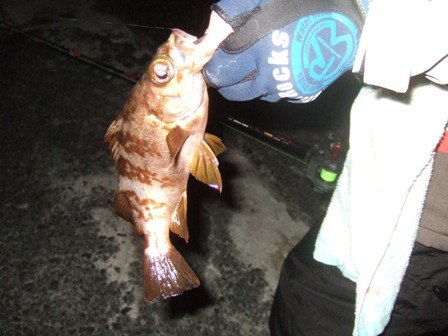 ���o���͏��Ȃ�����