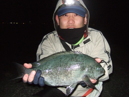 ���W�i�f�d�s