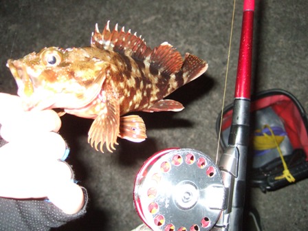 ���x�͂��������낤