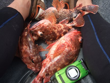 �L�[�v�̈ꕔ