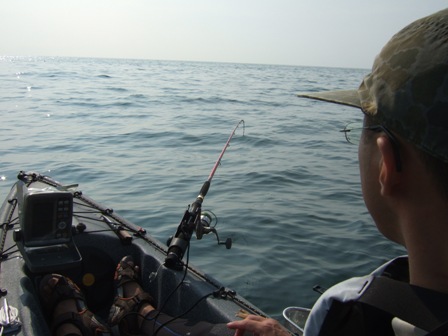 ���₩�߂���