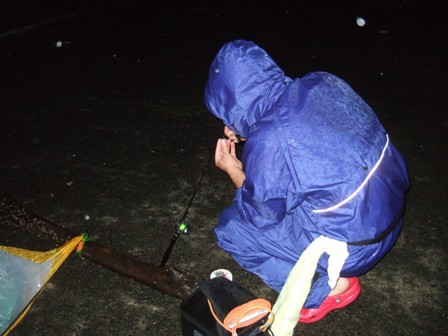 �b���Ԃ�̍���