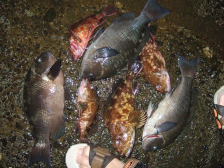 ��P���މ�