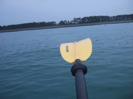 ���K����