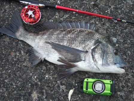 ���ȋL�^�X�V�T�C�Y