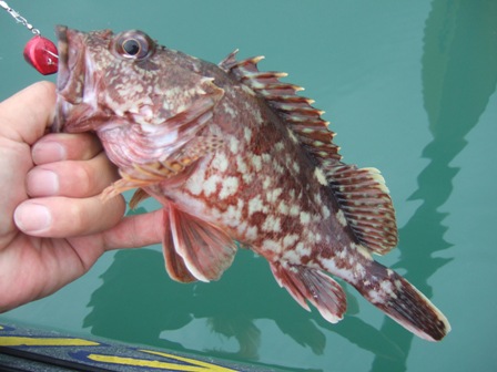 �{�����L�[�v