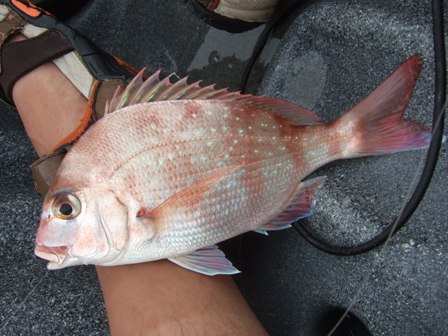 ���^�^��