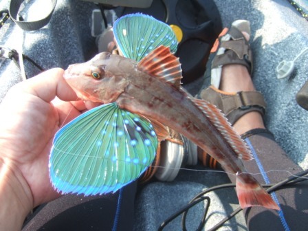 ���z�E�{�E