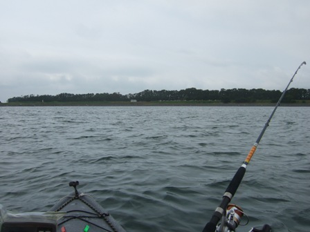 �Q�V�����C