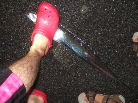 �{���E�^�`�E�I