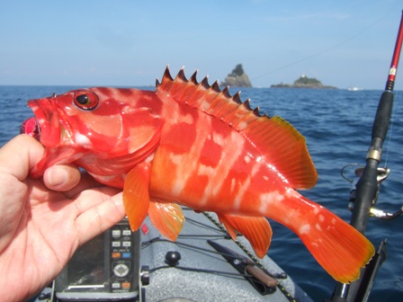 ���A�J�n�^