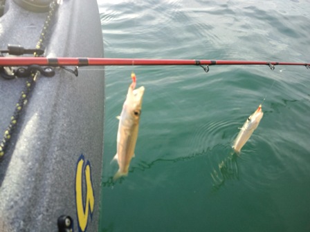 �Q�Q�`�Q�R�b���΂���