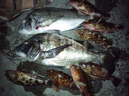 ���n���\