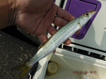 �y�Y�f�d�s