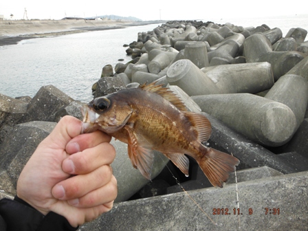 �����[�X�T�C�Y