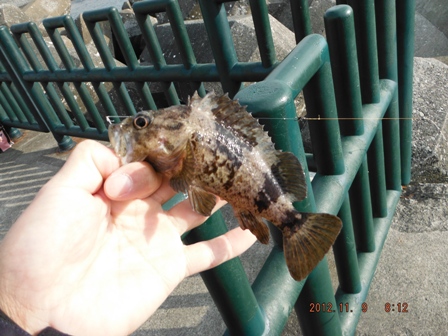 �����[�X�T�C�Y