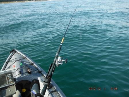 ���͉��₩