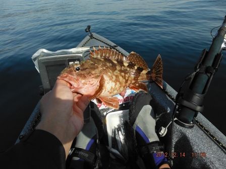 �J�T�S�f�d�s