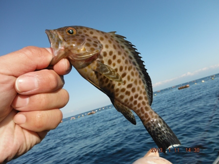 �e���A��ė���