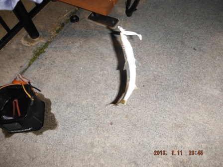 ���܂��̃J�}�X