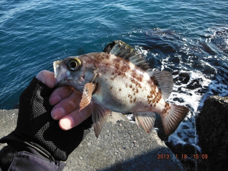 ���o����