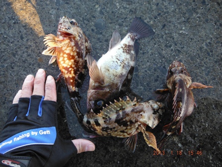 �B�e�ナ���[�X