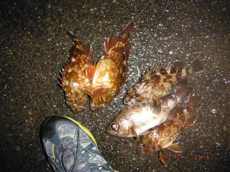 ���͕n�ʂ��������E�E�B