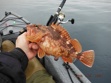 ����Ȃ�̃T�C�Y