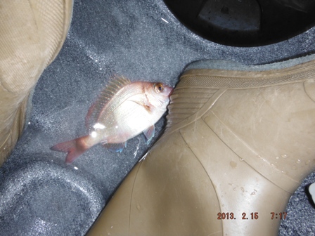 �����߂���E�E