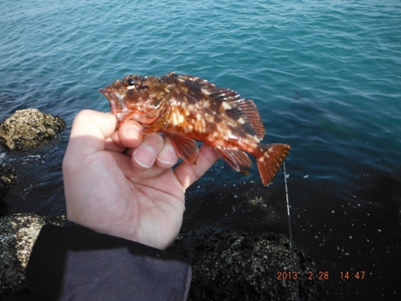 �����͏�������