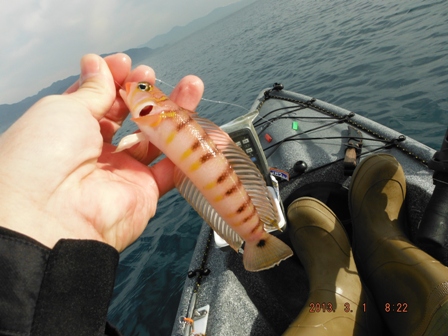 �I�L�g���M�X