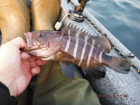 �n�^���ዛ