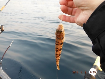 �����Ȃ�t��