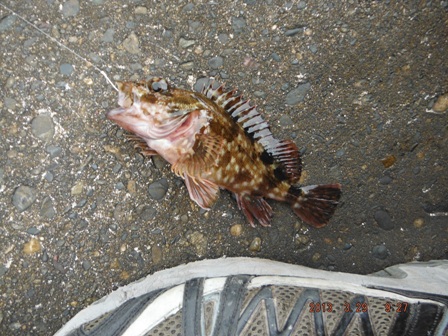 ���x���W�𐾂�